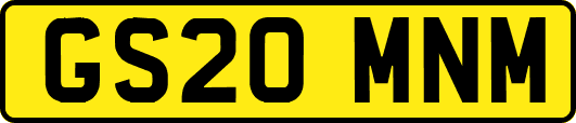 GS20MNM