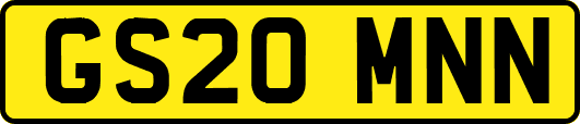 GS20MNN