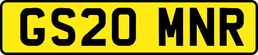 GS20MNR