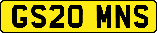 GS20MNS