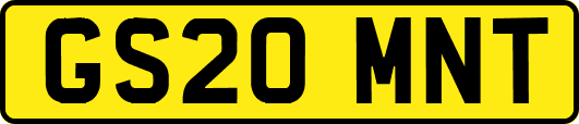 GS20MNT