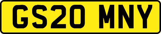 GS20MNY