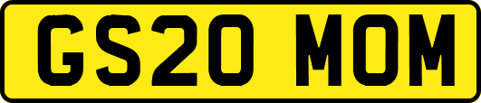 GS20MOM
