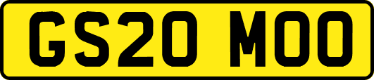 GS20MOO