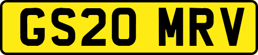 GS20MRV