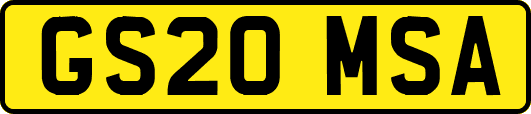 GS20MSA