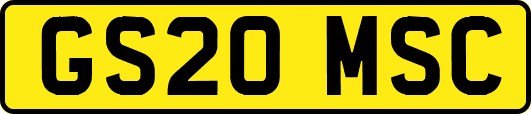 GS20MSC