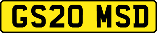 GS20MSD