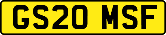GS20MSF