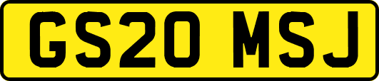 GS20MSJ