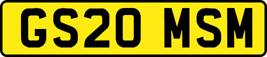 GS20MSM