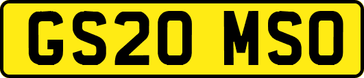 GS20MSO