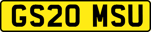 GS20MSU