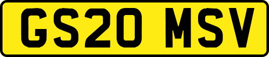 GS20MSV