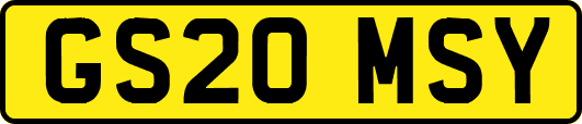 GS20MSY