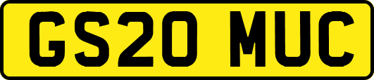 GS20MUC