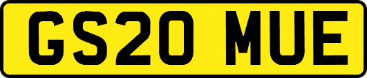 GS20MUE
