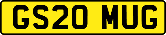 GS20MUG