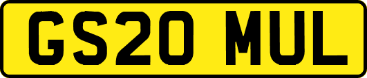 GS20MUL