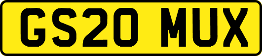 GS20MUX