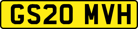GS20MVH