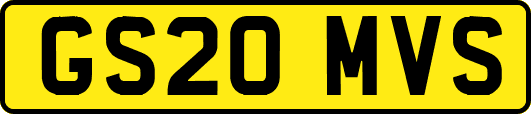 GS20MVS