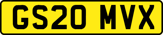 GS20MVX