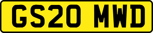 GS20MWD