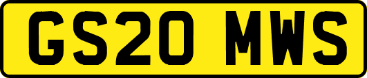 GS20MWS