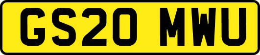 GS20MWU