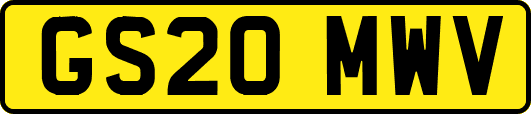 GS20MWV