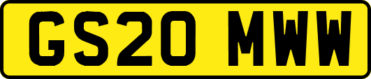 GS20MWW