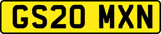 GS20MXN
