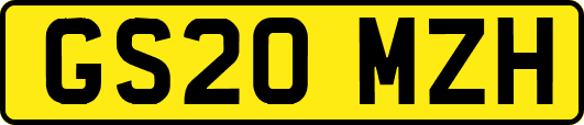 GS20MZH