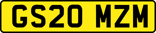 GS20MZM