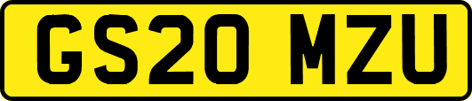 GS20MZU