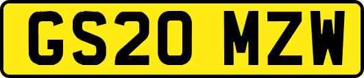 GS20MZW