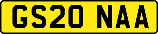 GS20NAA