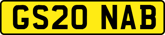 GS20NAB