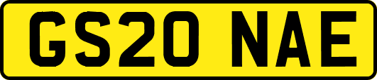 GS20NAE