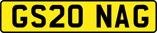 GS20NAG