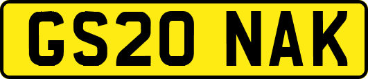GS20NAK