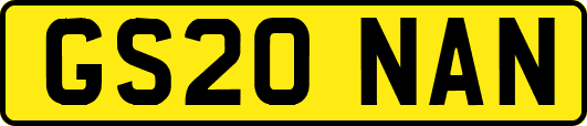 GS20NAN