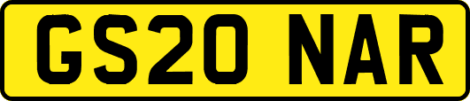 GS20NAR