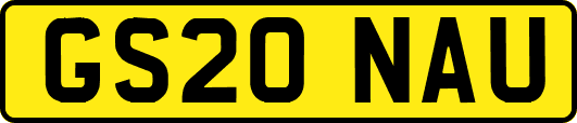GS20NAU