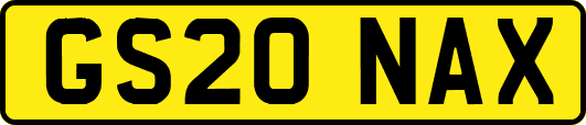 GS20NAX