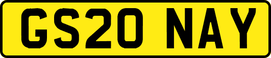 GS20NAY