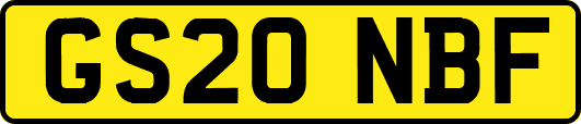 GS20NBF
