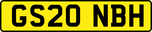 GS20NBH