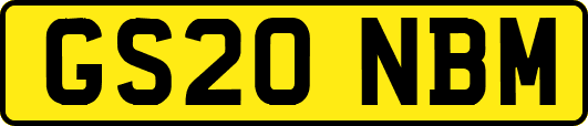 GS20NBM